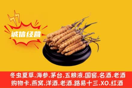 烟台回收冬虫夏草